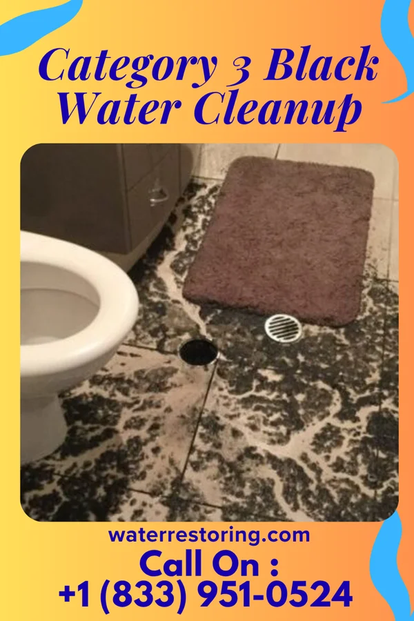Category 3 Black Water Cleanup in Presque Isle Harbor, MI