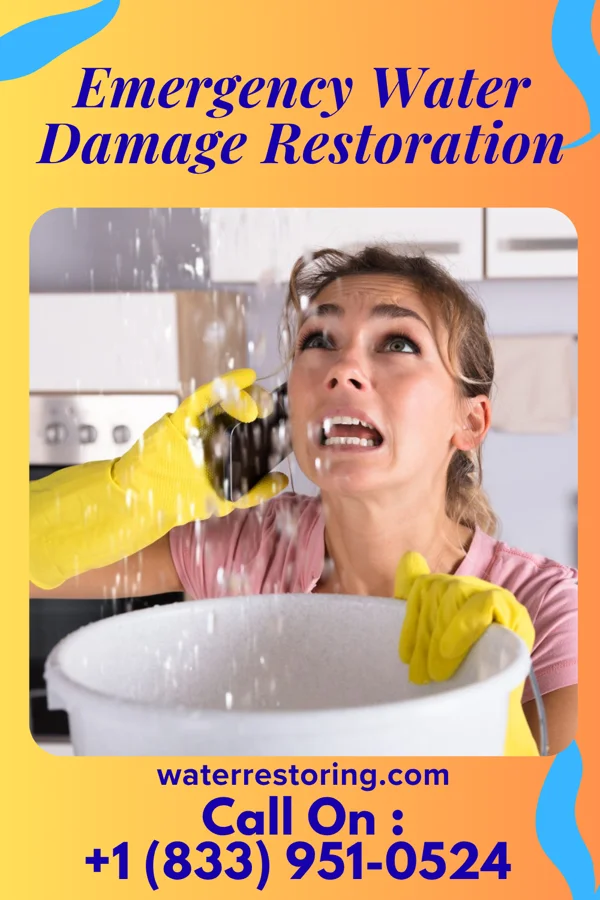 Emergency Water Damage Restoration in Presque Isle Harbor, MI